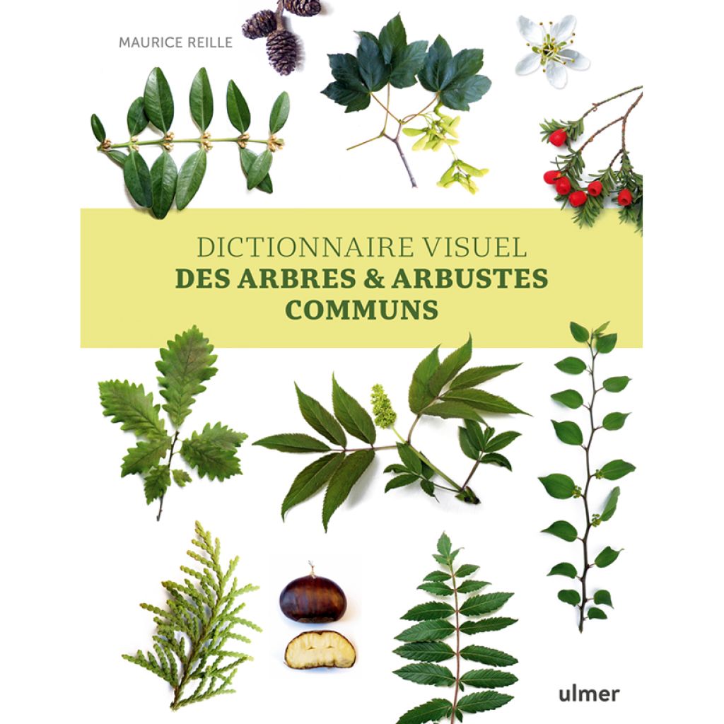 Dictionnaire visuel des arbres et arbustes communs