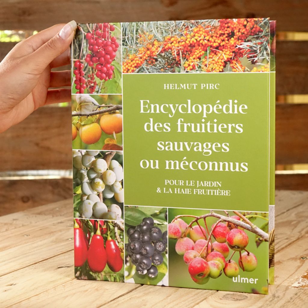 Encyclopédie des fruitiers sauvages ou méconnus - Pour le jardin et la haie fruitière