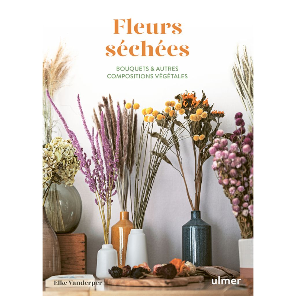 Fleurs séchées - Bouquets et autres compositions végétales