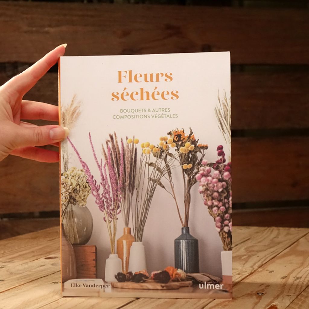 Fleurs séchées - Bouquets et autres compositions végétales