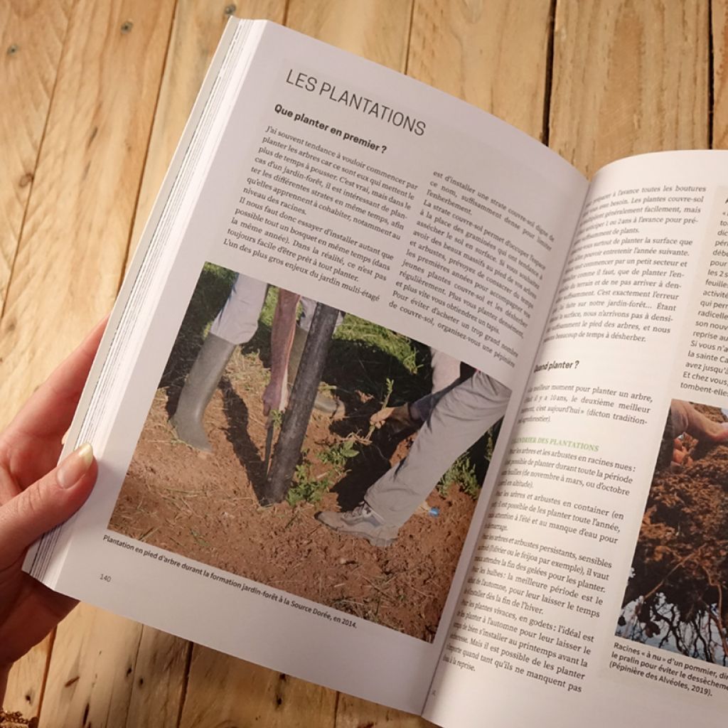 Forêt comestible & haie fruitière - Créer un jardin nourricier multi-étagé