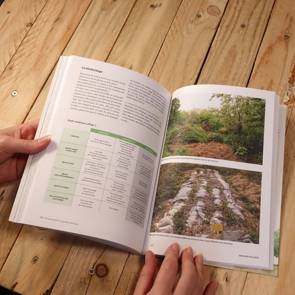 Forêt comestible & haie fruitière - Créer un jardin nourricier multi-étagé