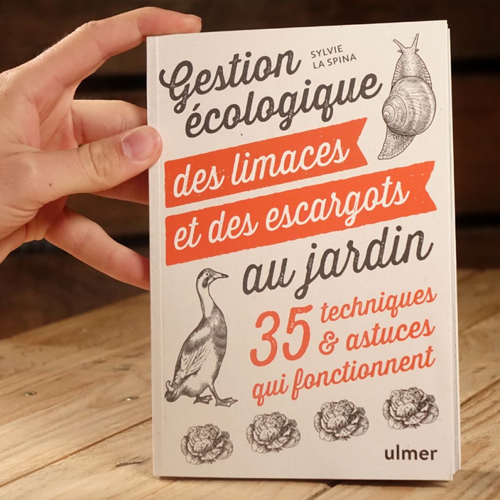 Gestion écologique des limaces et des escargots au jardin