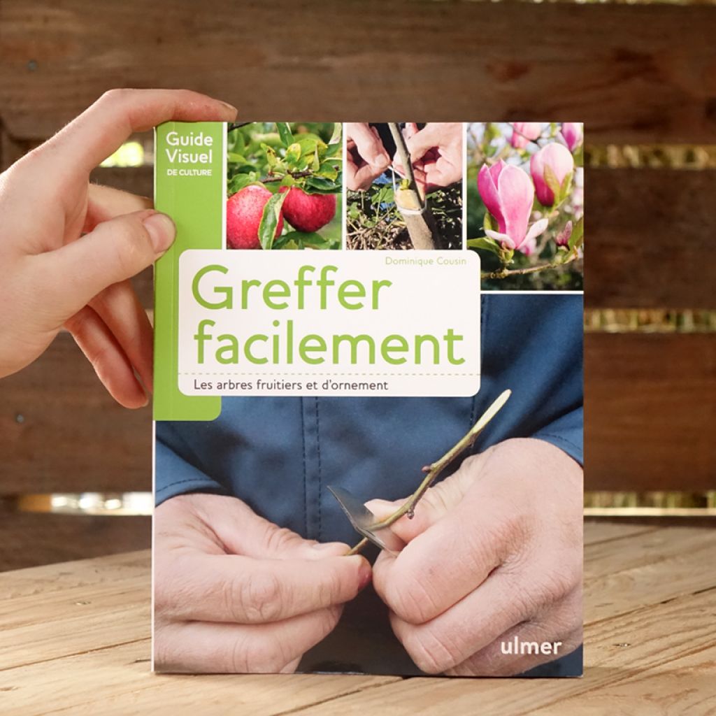 Greffer facilement - Les arbres fruitiers et d'ornement