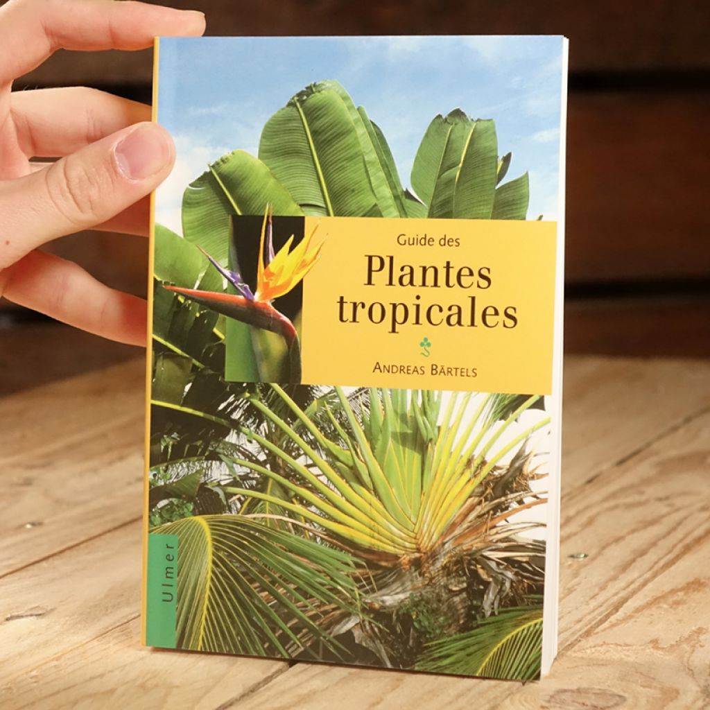 Guide des plantes tropicales