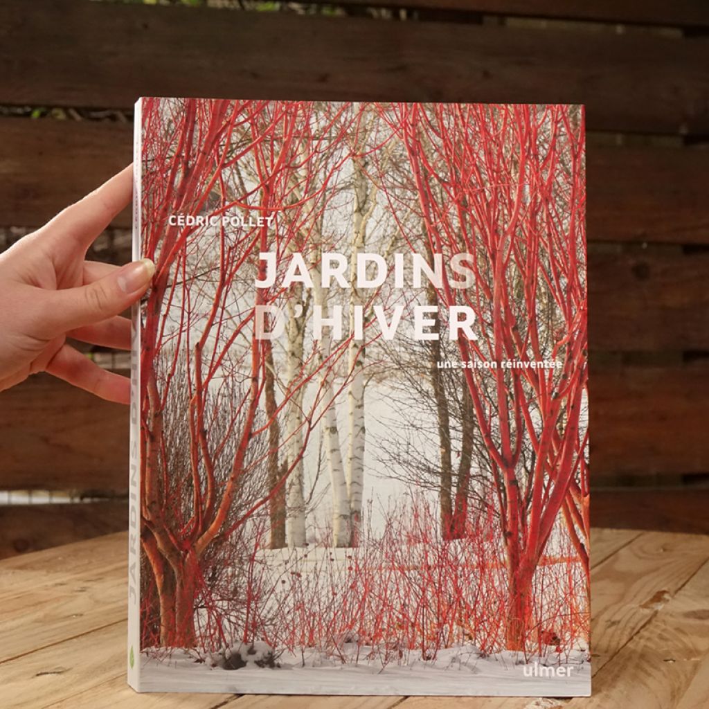 Jardins d'hiver - Une saison réinventée