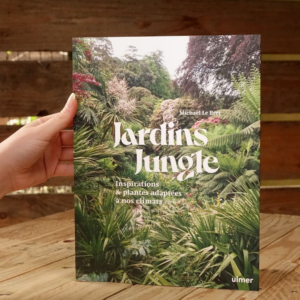 Jardin jungle - Inspirations et plantes adaptées à nos climats