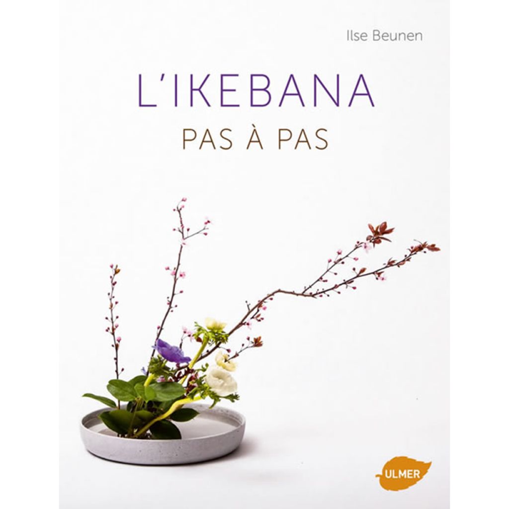 L'Ikebana - Pas à pas