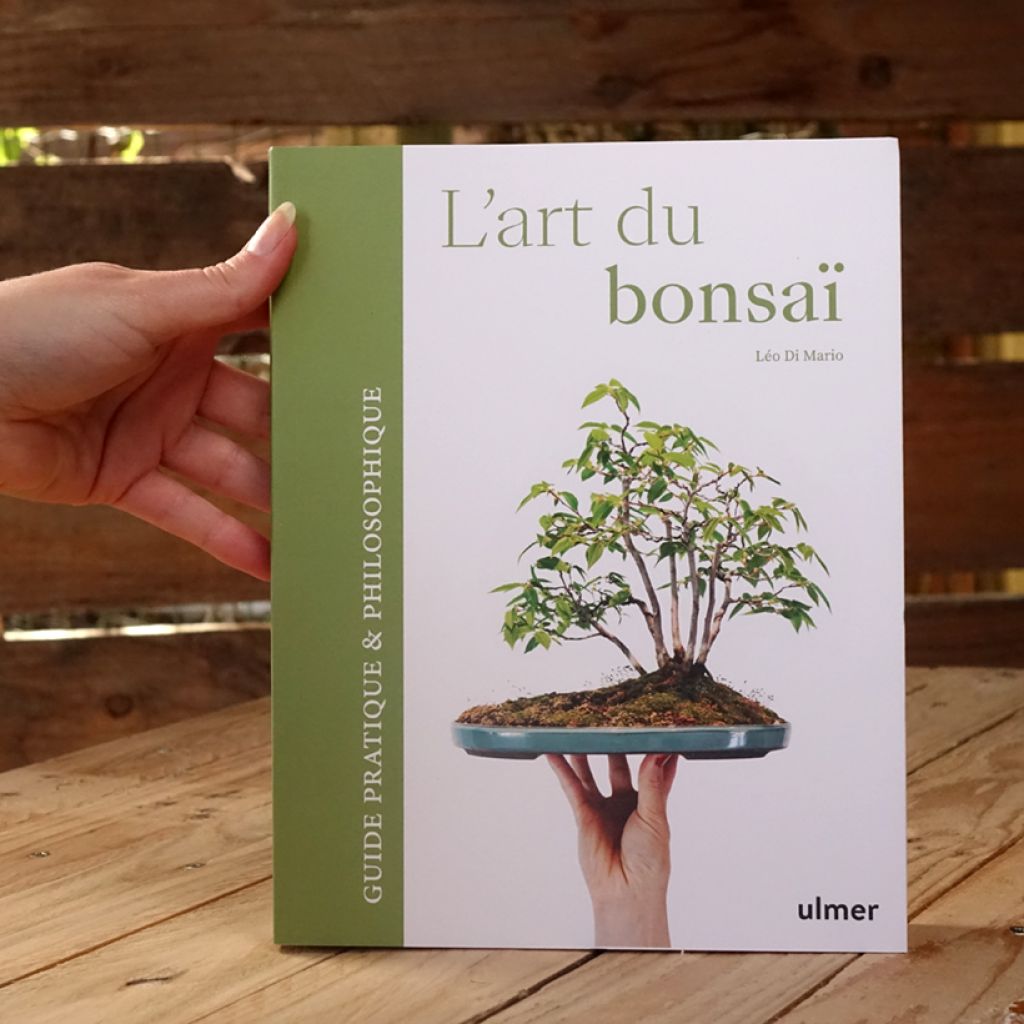 L'art du bonsaï - Guide pratique et philosophique