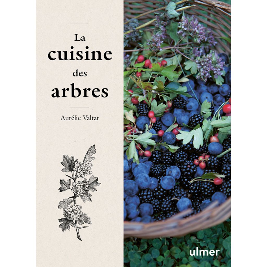 La cuisine des arbres