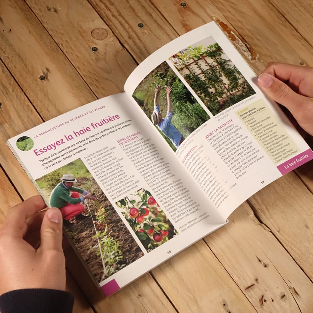 La permaculture au jardin