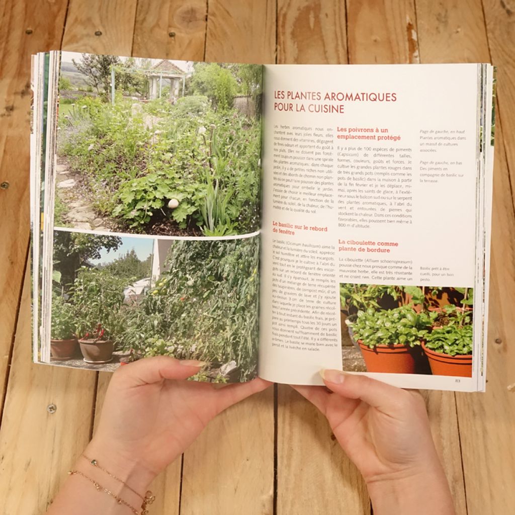 La Permaculture dans un petit jardin - Créer un jardin auto-suffisant