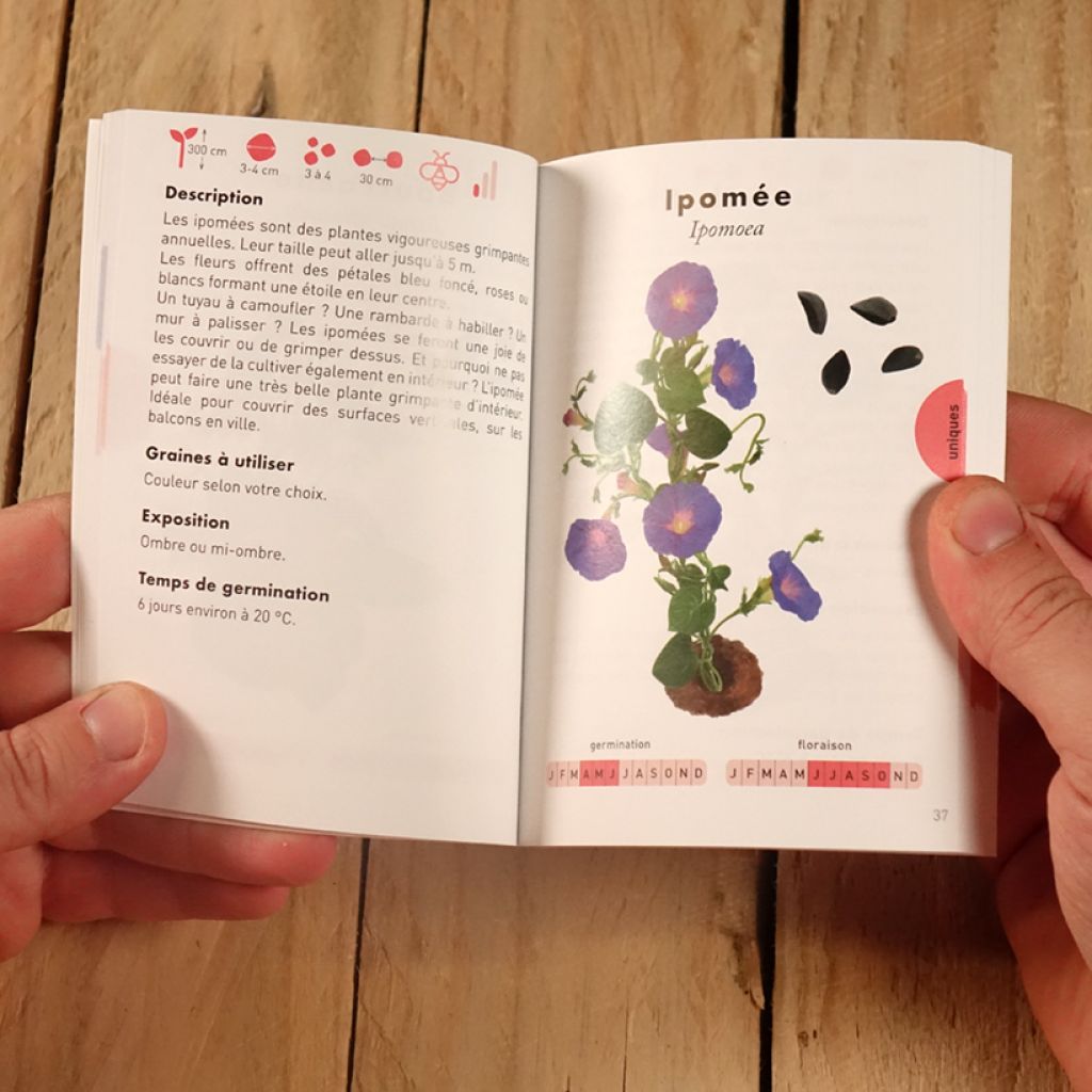 Petit livre - jardin des bombes de graines