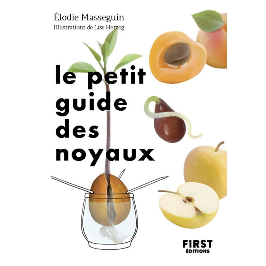 Le Petit Guide des noyaux