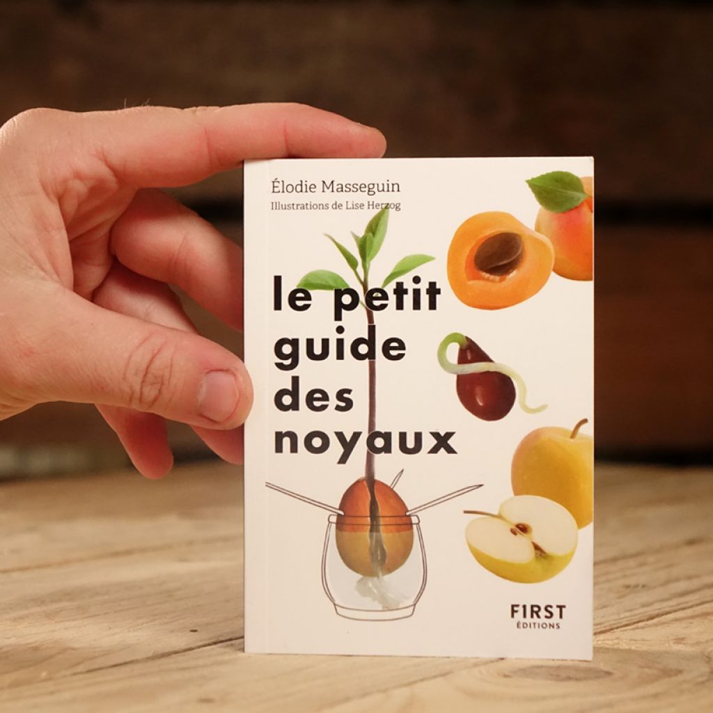 Le Petit Guide des noyaux