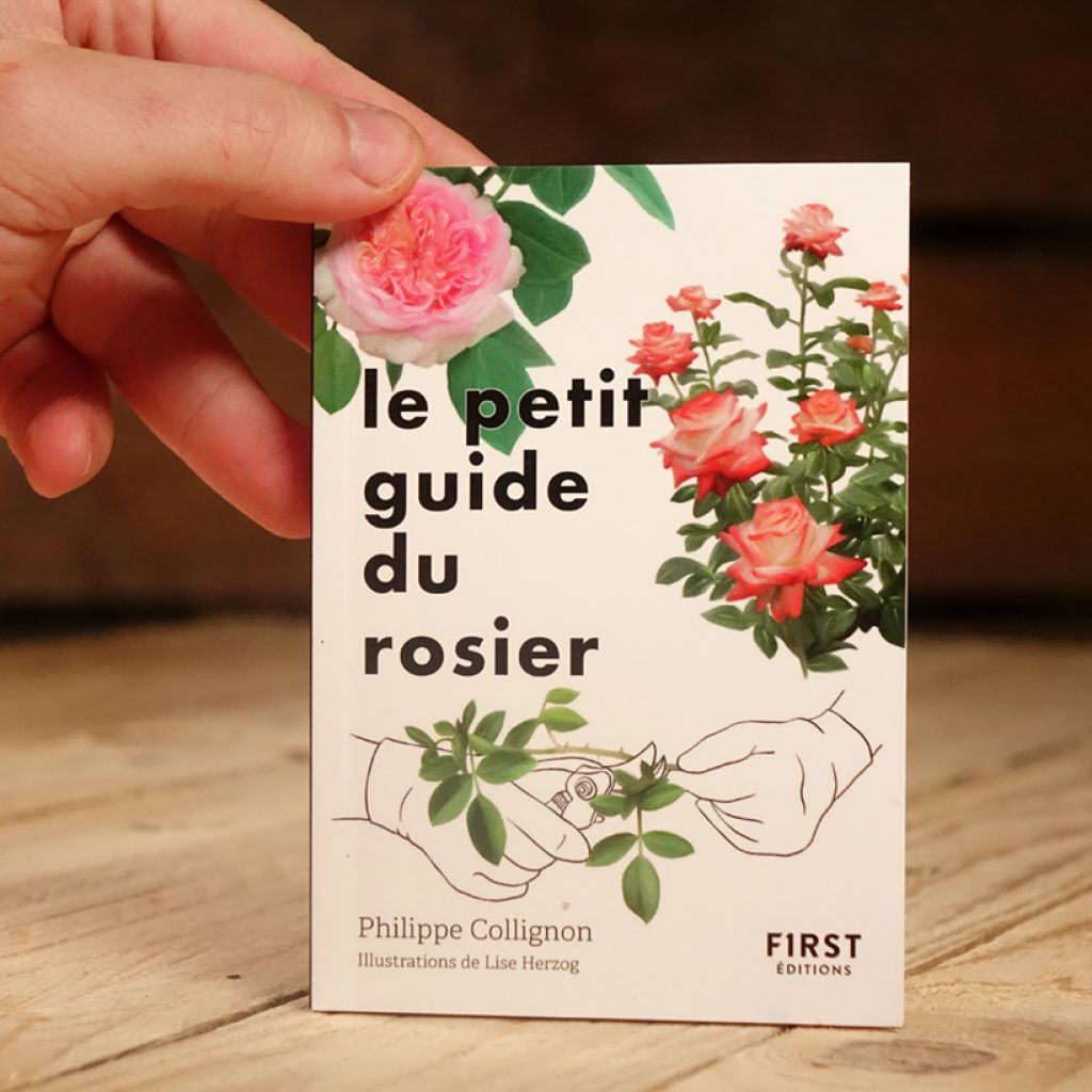 Le Petit Guide du rosier