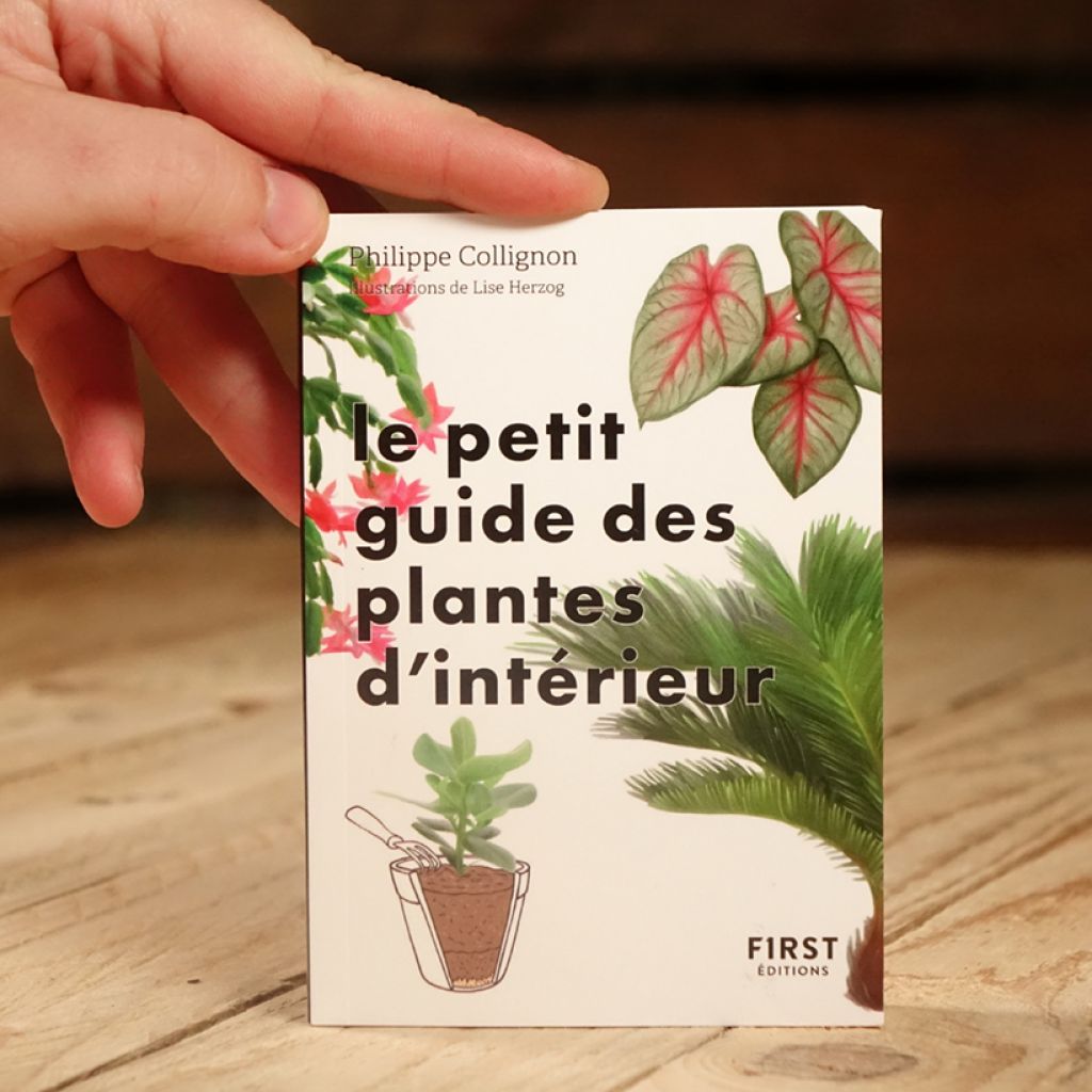 Le Petit Guide jardin des plantes d'intérieur