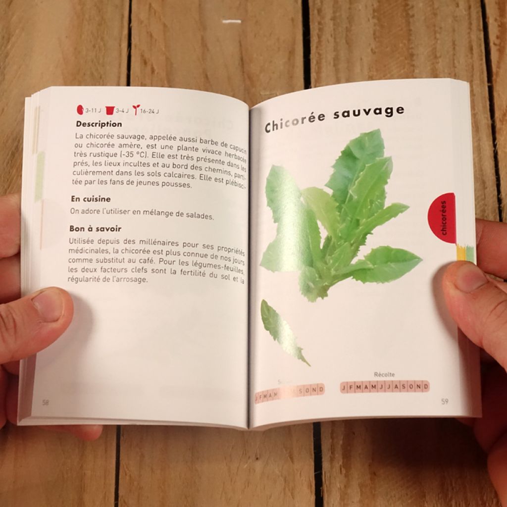 Le Petit Guide jardin des salades et jeunes pousses