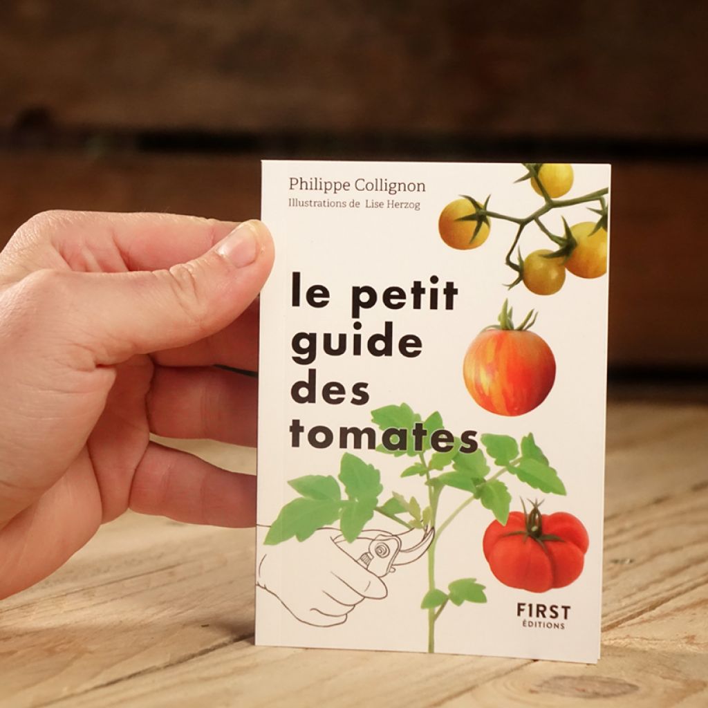 Le Petit Guide jardin des tomates