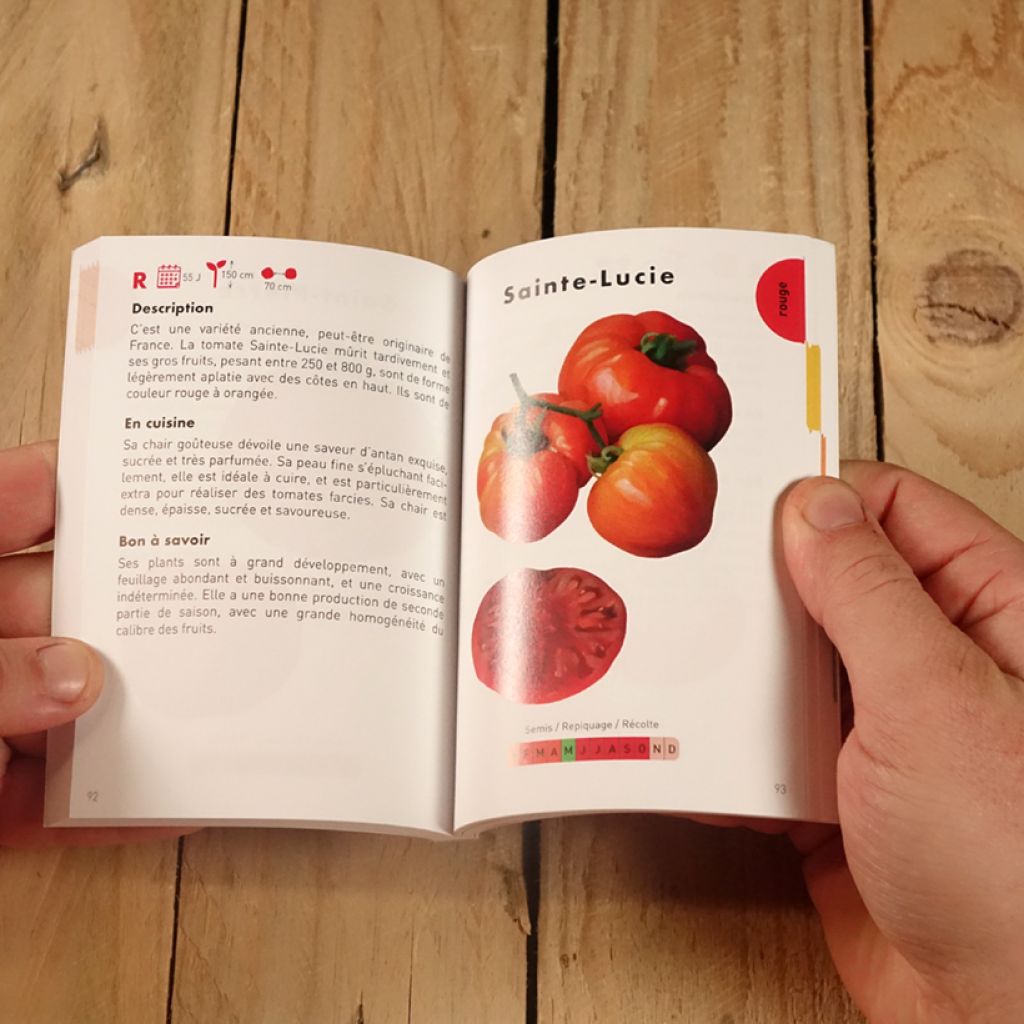 Le Petit Guide jardin des tomates