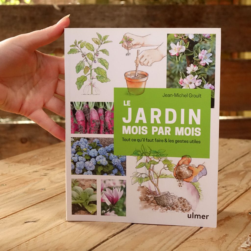 Le jardin mois par mois - Tout ce qu'il faut faire et les gestes utiles