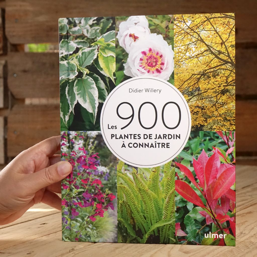 Les 900 plantes de jardin à connaître