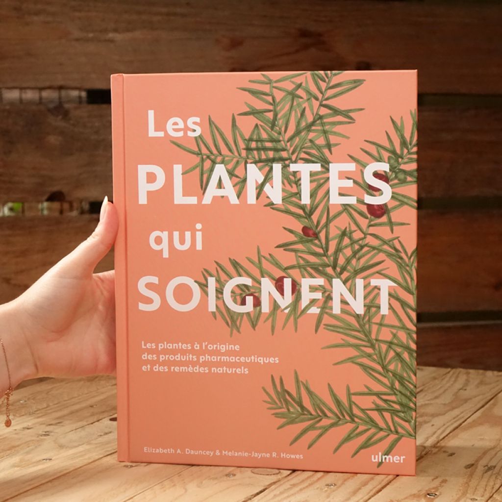 Les plantes qui soignent