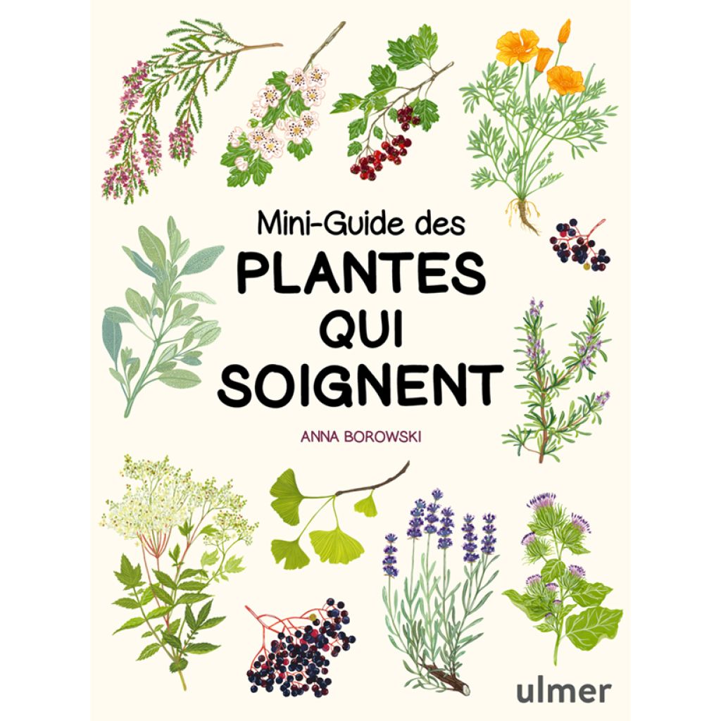 Mini-guide des plantes qui soignent