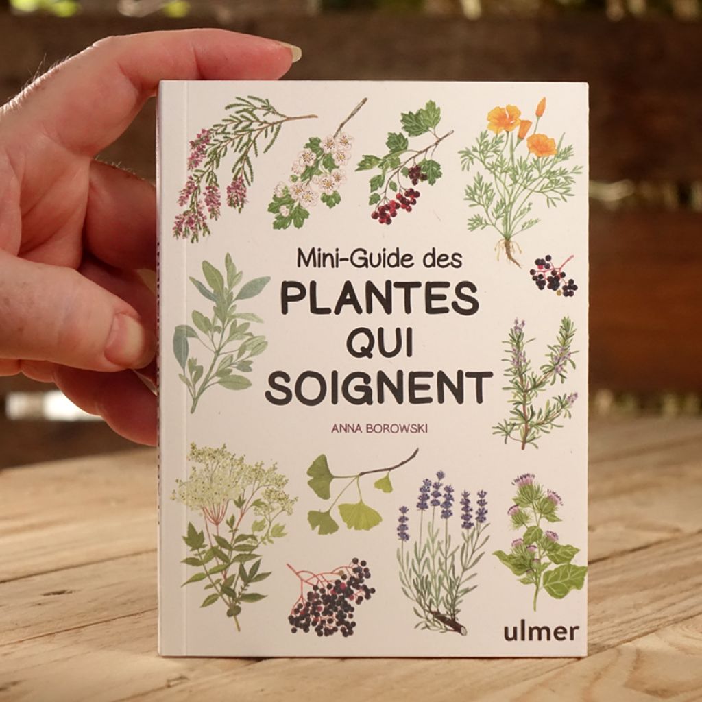 Mini-guide des plantes qui soignent