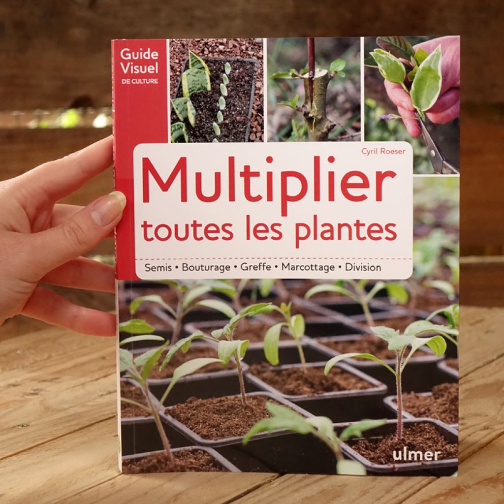 Multiplier toutes les plantes - Semis, bouturage, greffe, marcottage, division