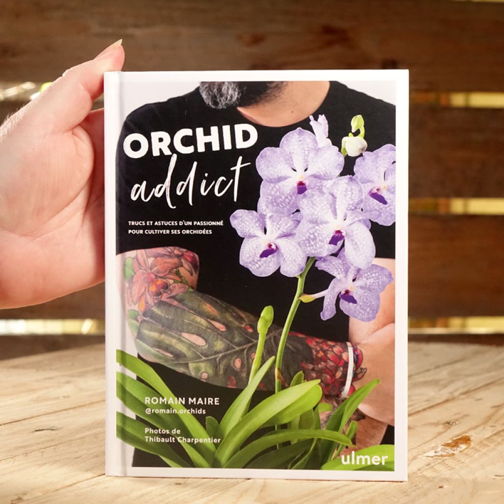 Orchid addict