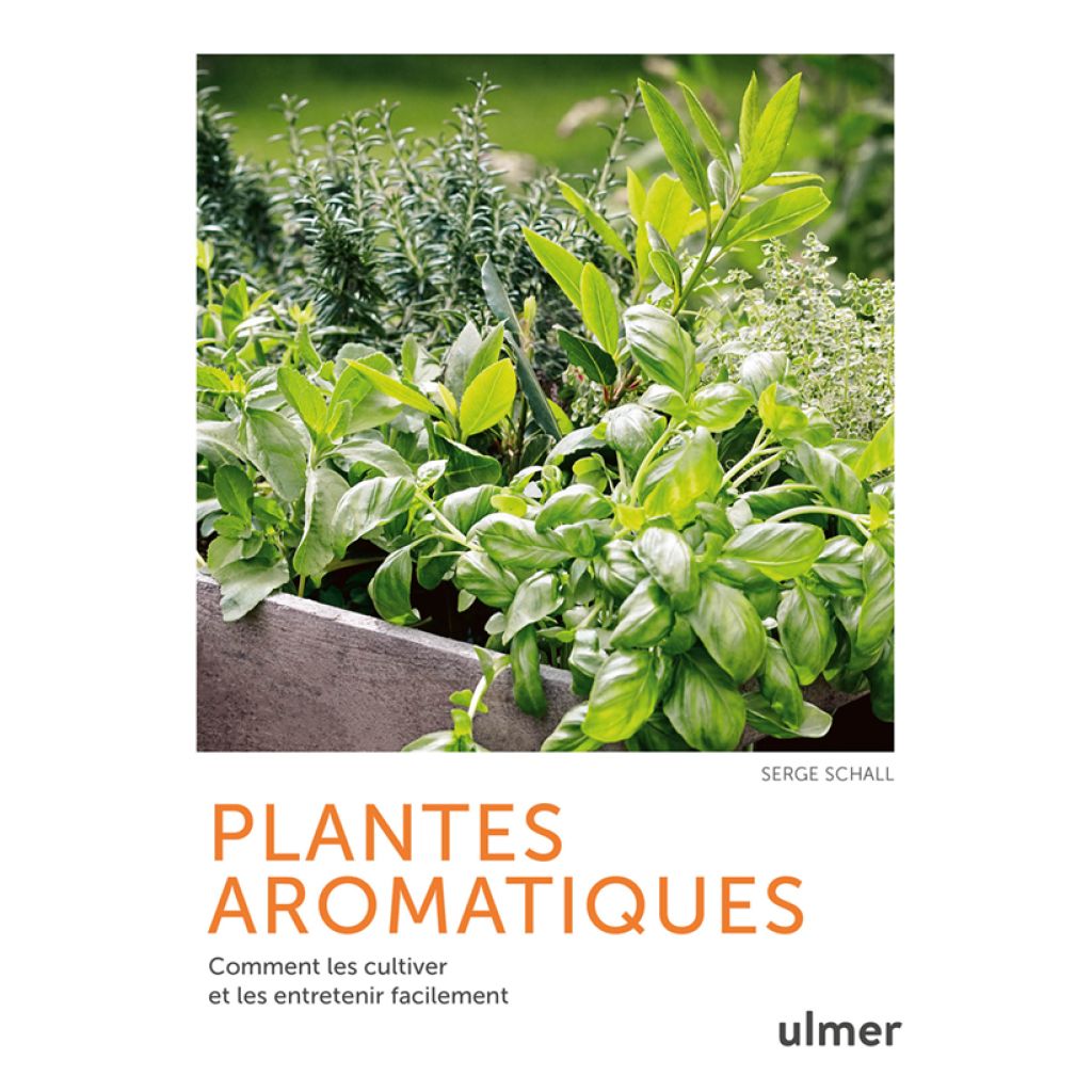 Plantes aromatiques - Comment les cultiver et les entretenir facilement