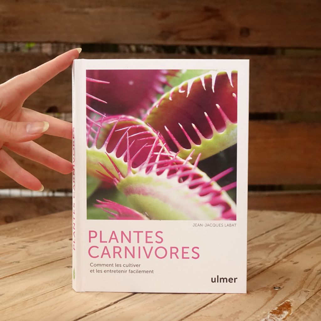 Plantes carnivores - Comment les cultiver et les entretenir facilement