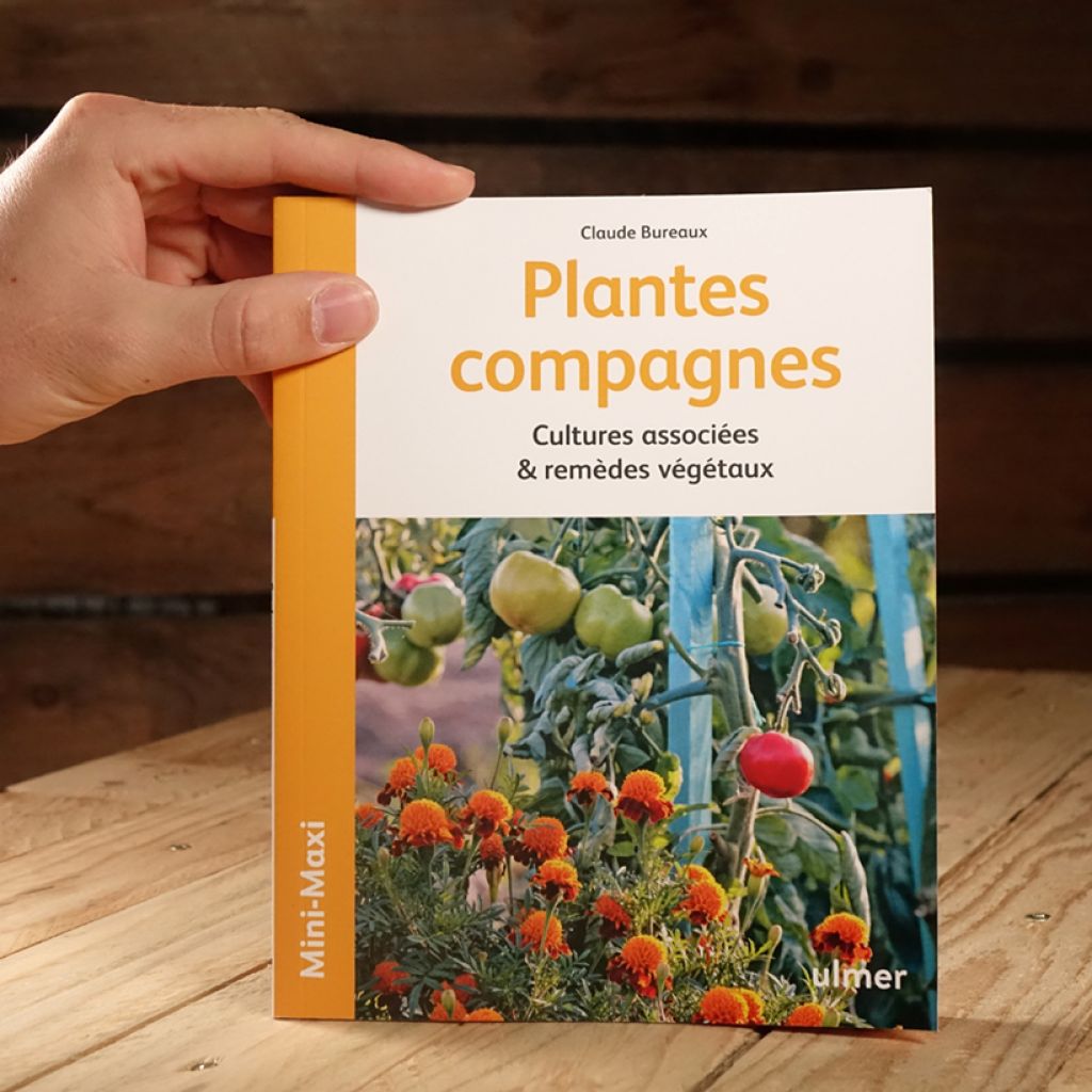 Plantes compagnes - Cultures associées et remèdes végétaux