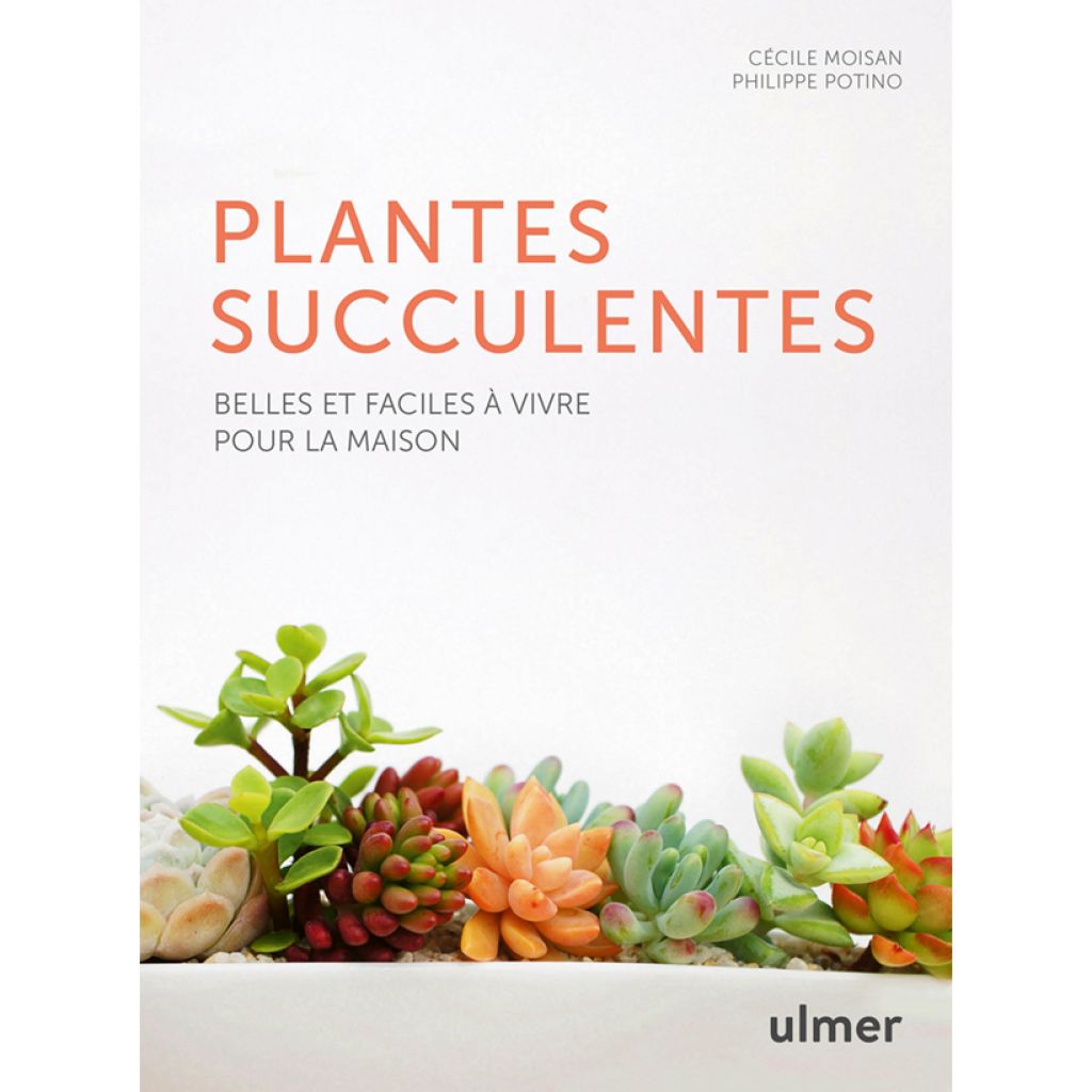 Les plantes succulentes - Belles et faciles à vivre pour la maison