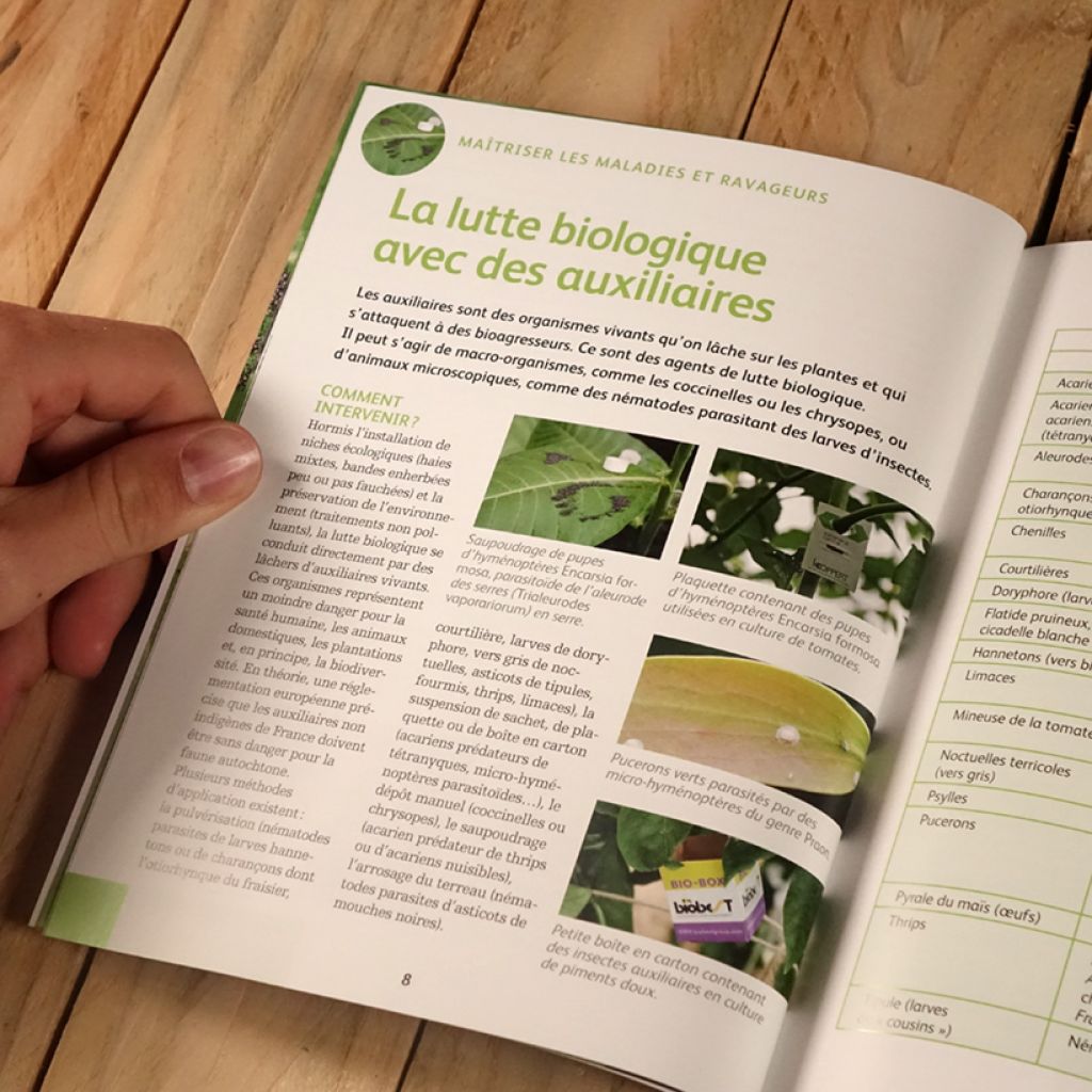 Soigner bio tous les légumes