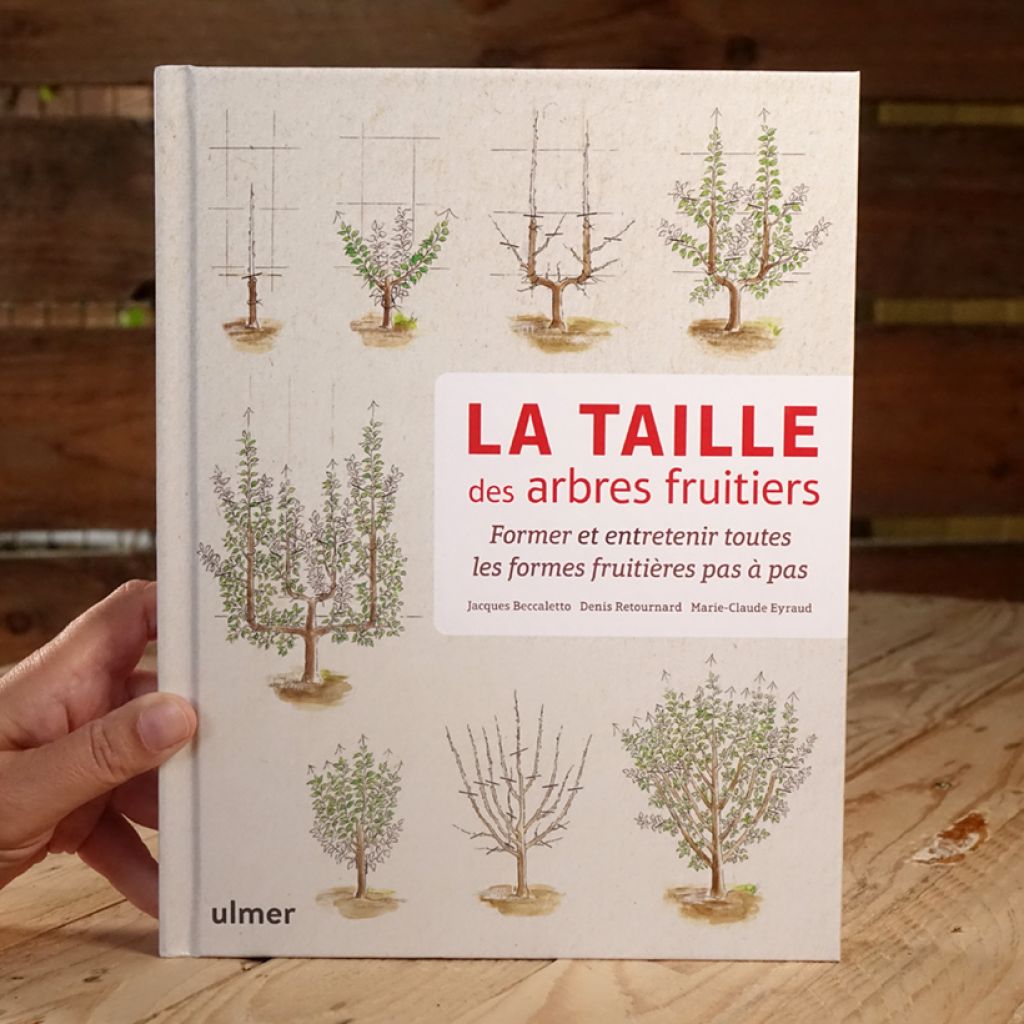 La taille des arbres fruitiers - Former et entretenir toutes les formes fruitières pas à pas