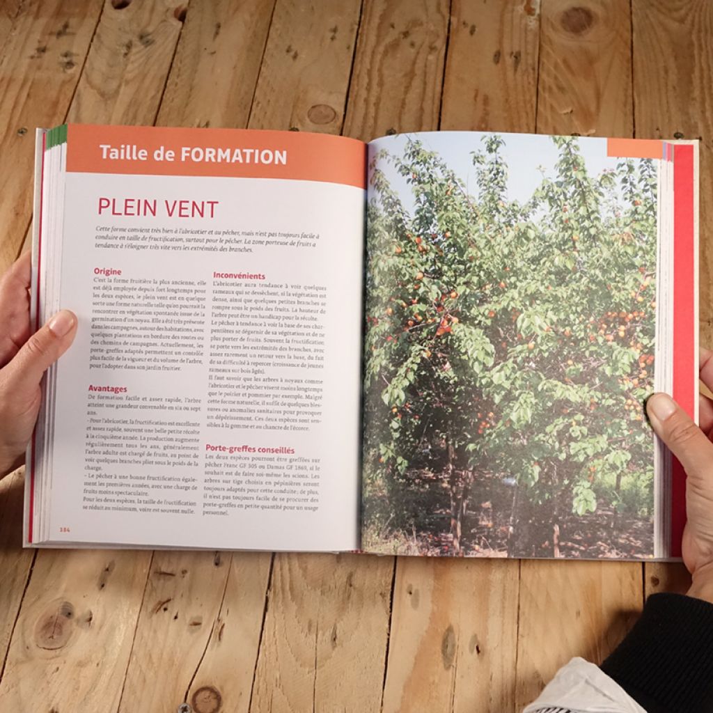 La taille des arbres fruitiers - Former et entretenir toutes les formes fruitières pas à pas