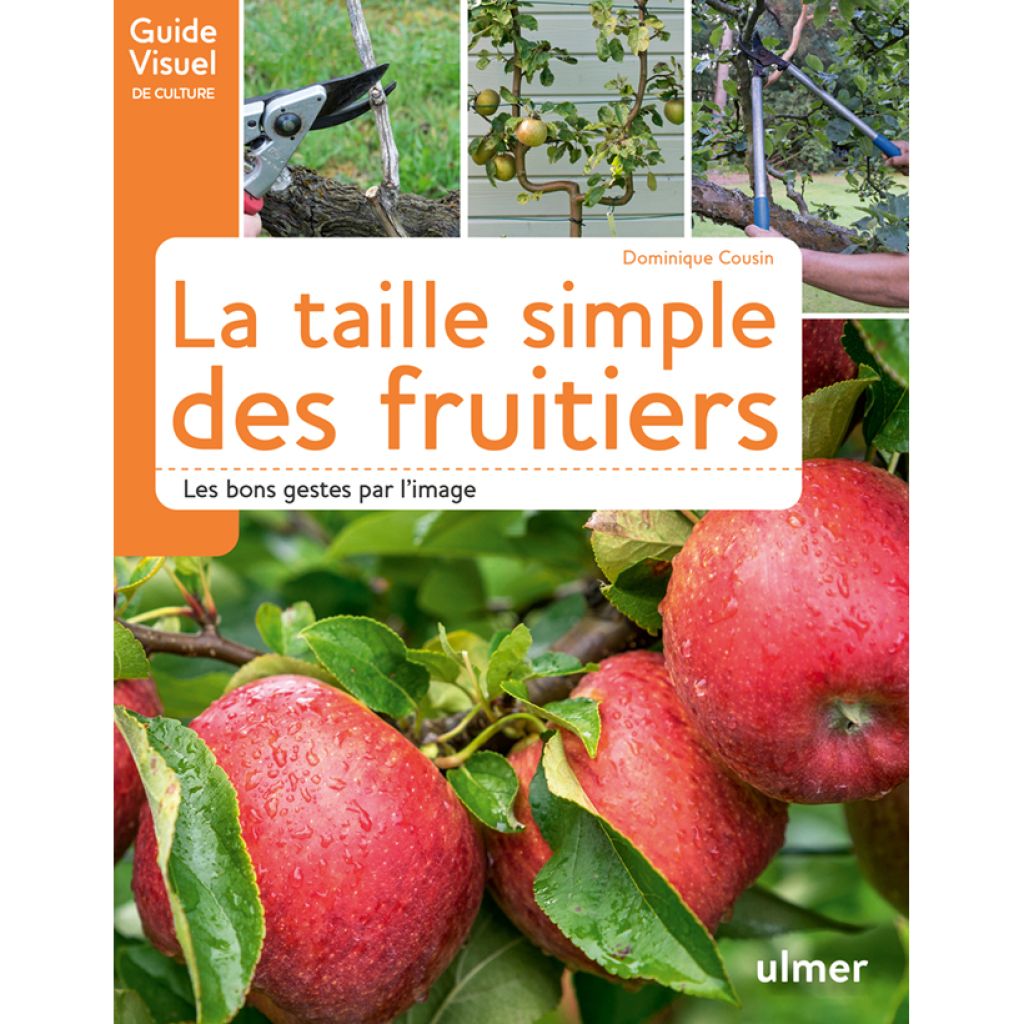 La taille simple des fruitiers - Les bons gestes par l'image