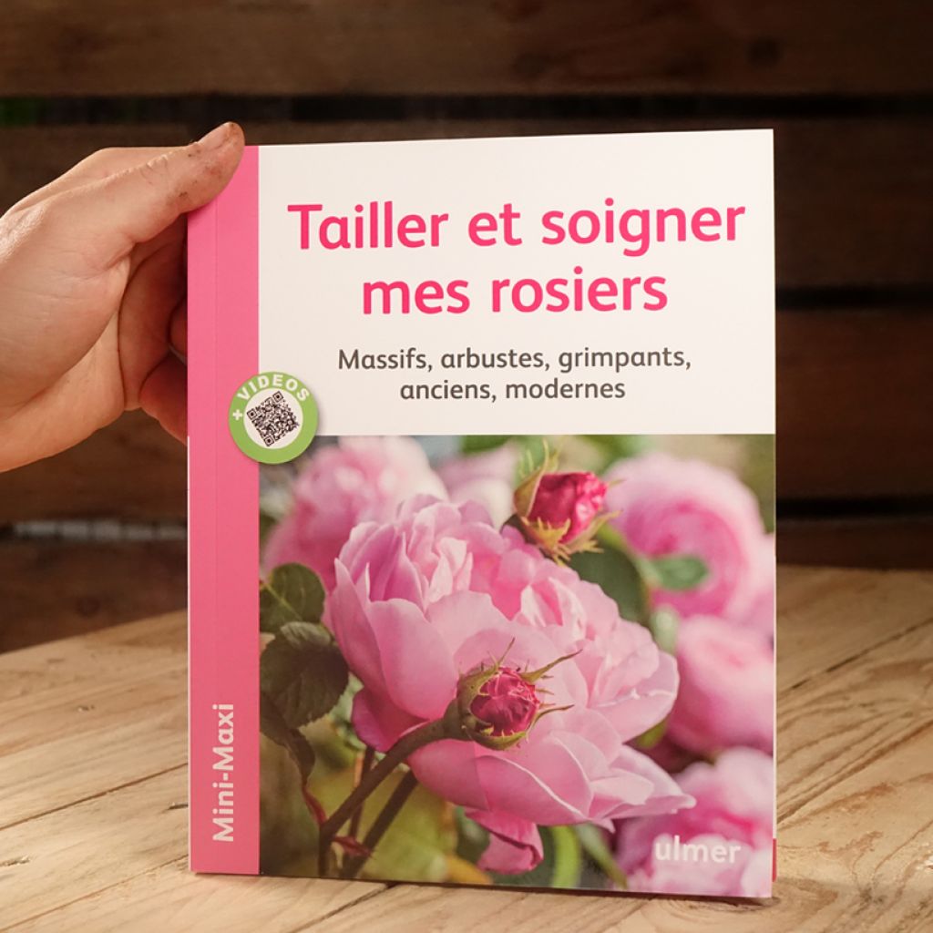 Tailler et soigner mes rosiers. Massifs, arbustes, grimpants, anciens, modernes