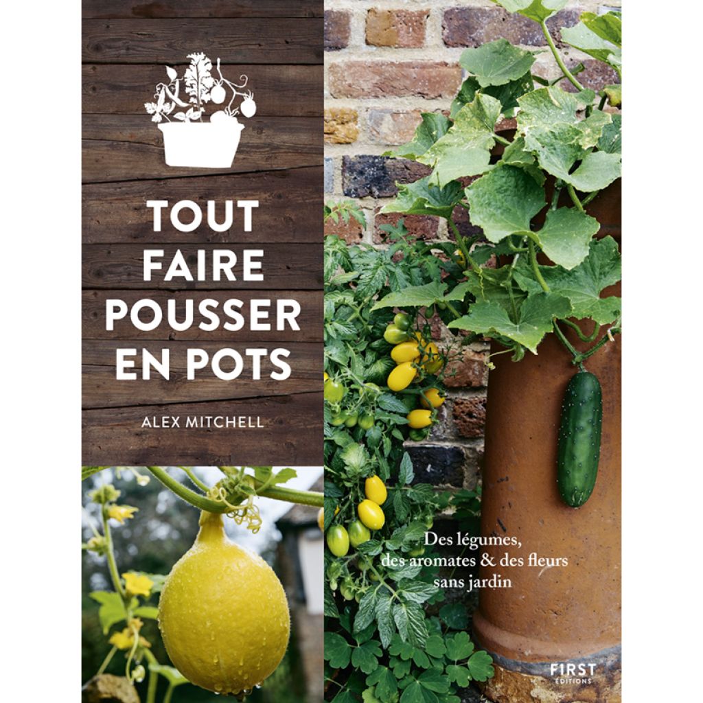 Tout faire pousser en pots - des légumes, des fleurs, des herbes sans jardin