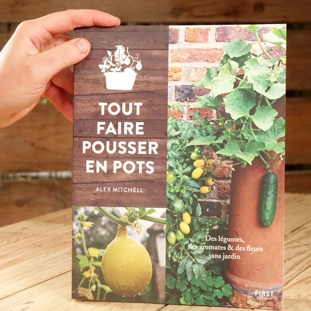 Tout faire pousser en pots - des légumes, des fleurs, des herbes sans jardin