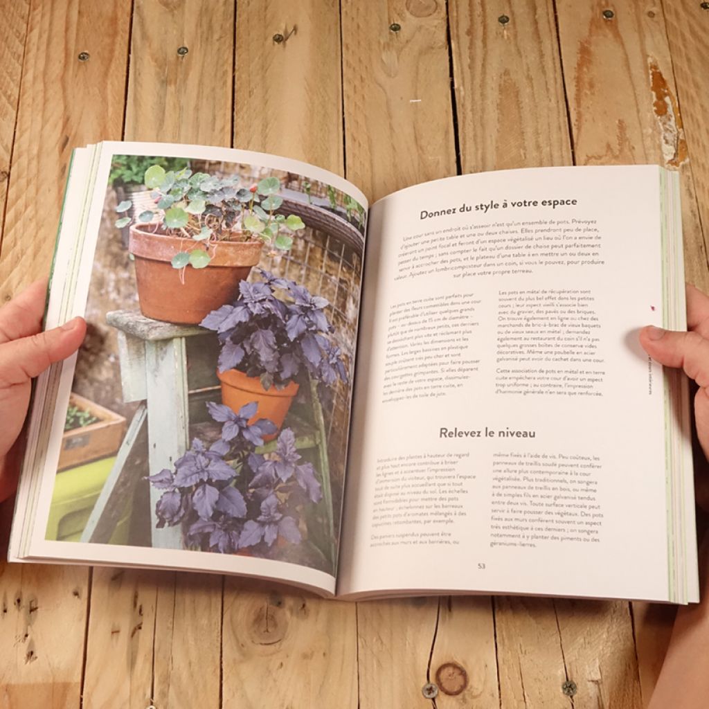 Tout faire pousser en pots - des légumes, des fleurs, des herbes sans jardin