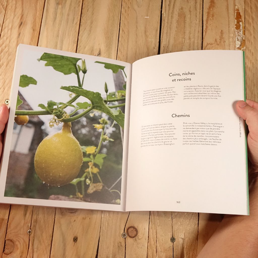 Tout faire pousser en pots - des légumes, des fleurs, des herbes sans jardin