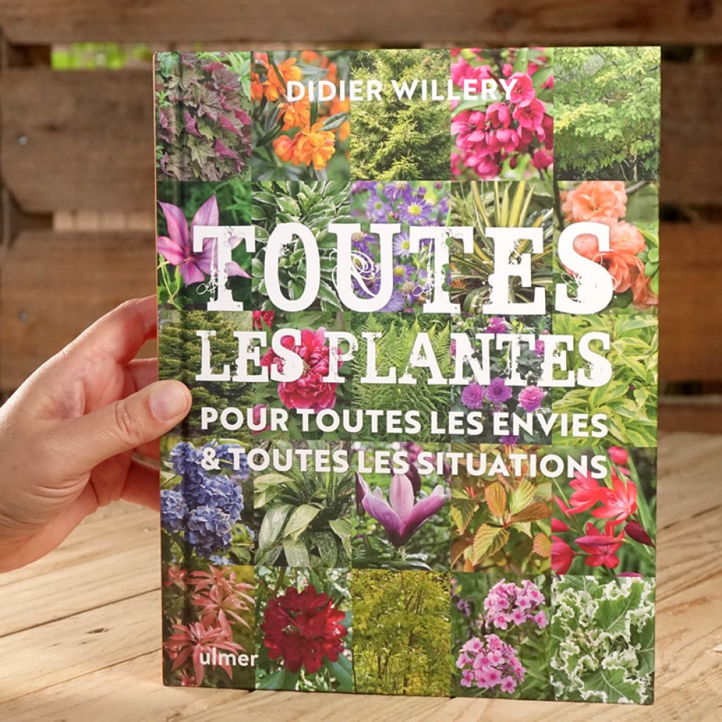 Toutes les plantes, pour toutes les envies et toutes les situations