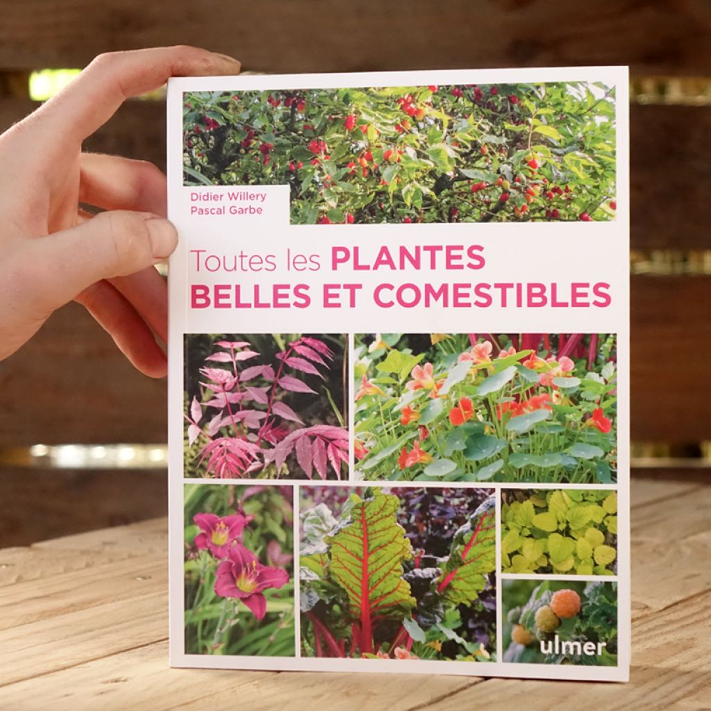 Toutes les plantes belles et comestibles