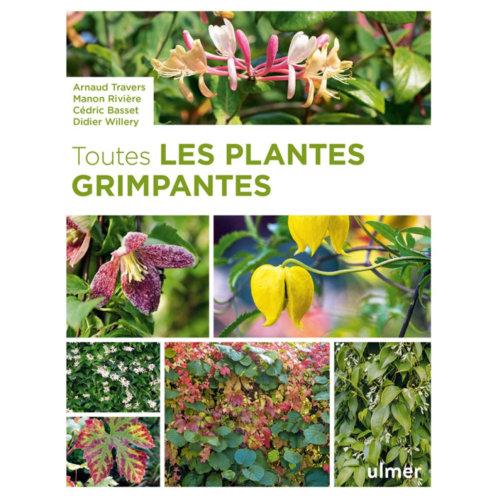 Toutes les plantes grimpantes