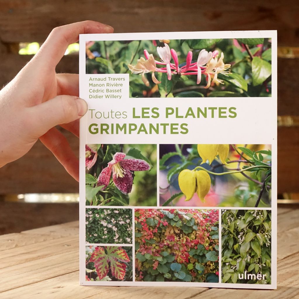 Toutes les plantes grimpantes