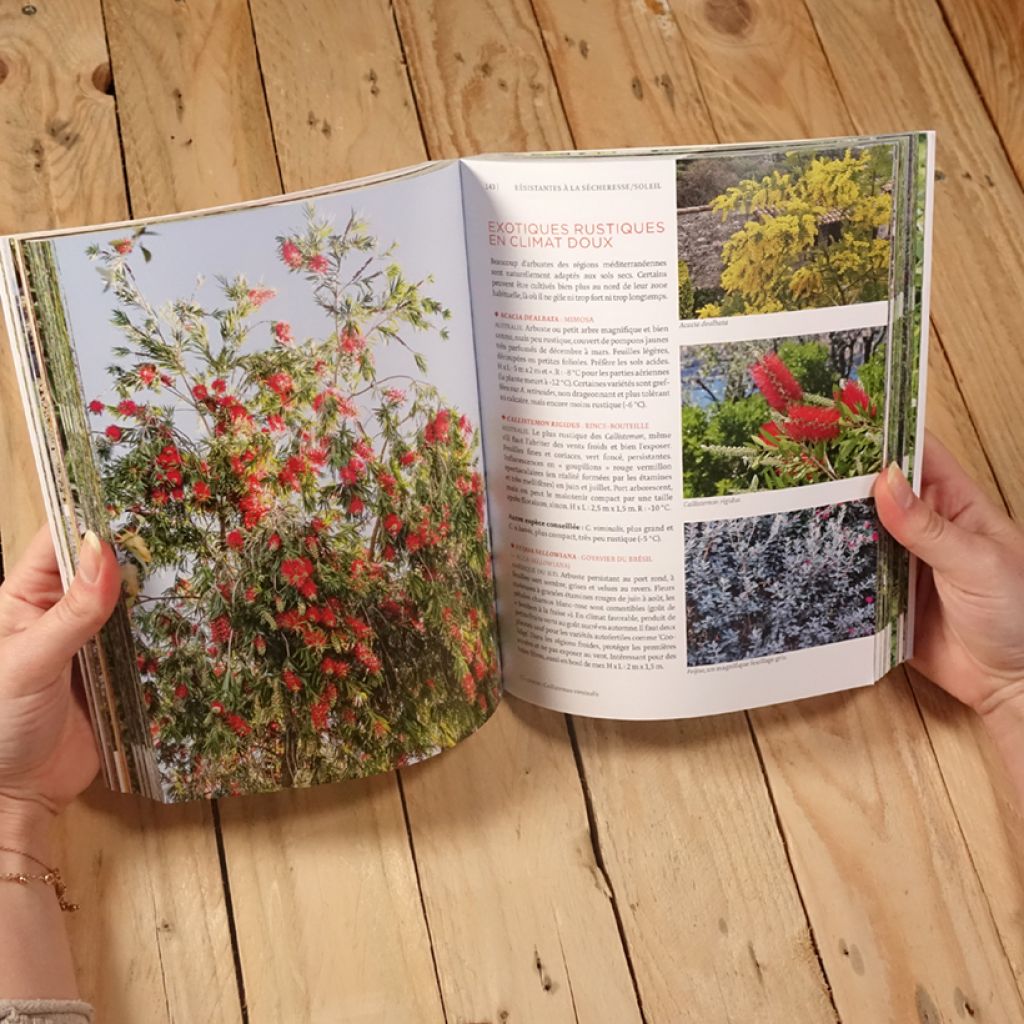 Toutes les plantes supportant la sécheresse