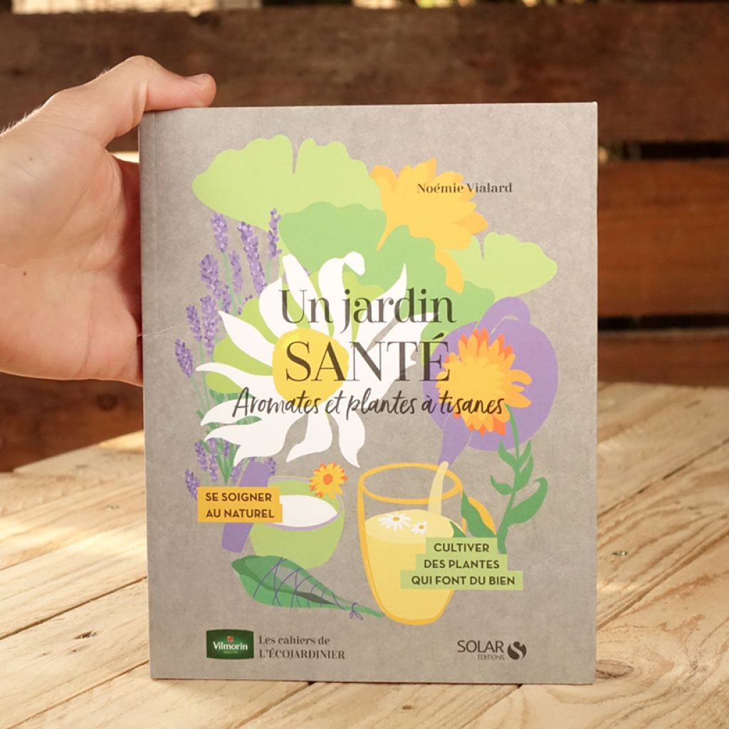 Un jardin santé : aromates et plantes à tisanes